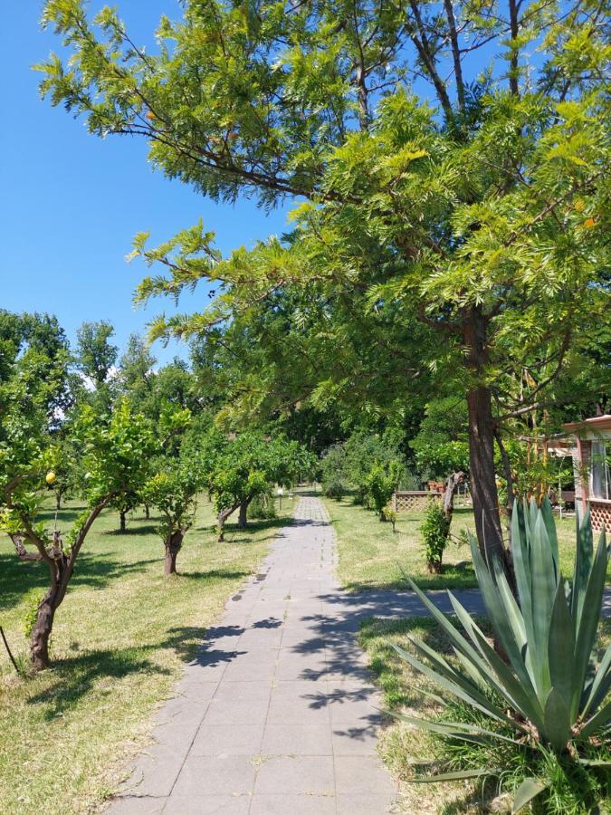 Villa Piersepp B&B Trappitello Bagian luar foto