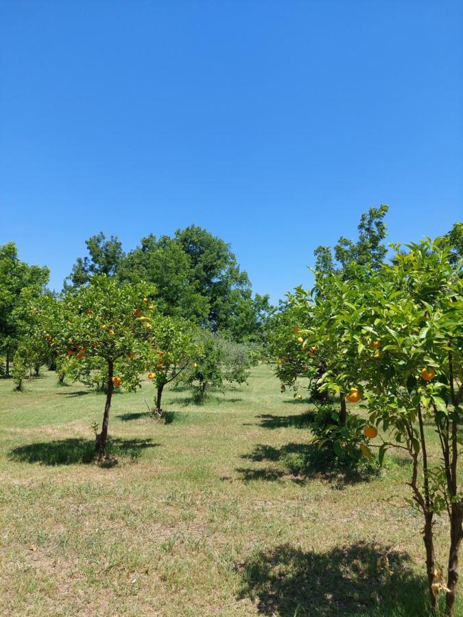 Villa Piersepp B&B Trappitello Bagian luar foto